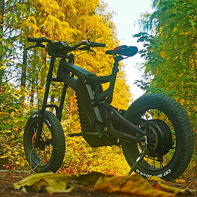 ACE by 4Leaf Carbon Fiber E-Bike