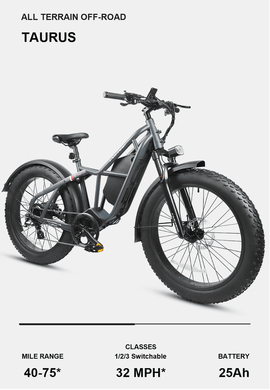 Fucare Taurus Fat Tire Ebike