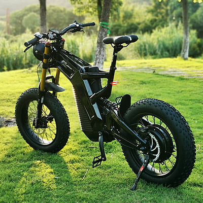 ACE by 4Leaf Carbon Fiber E-Bike