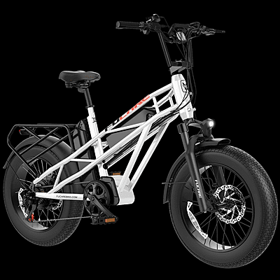 Fucare Gemini X Dual Battery Electric Bike