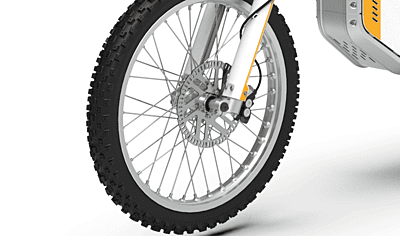 Gowow Ori Off-Road Electric Dirt Bike