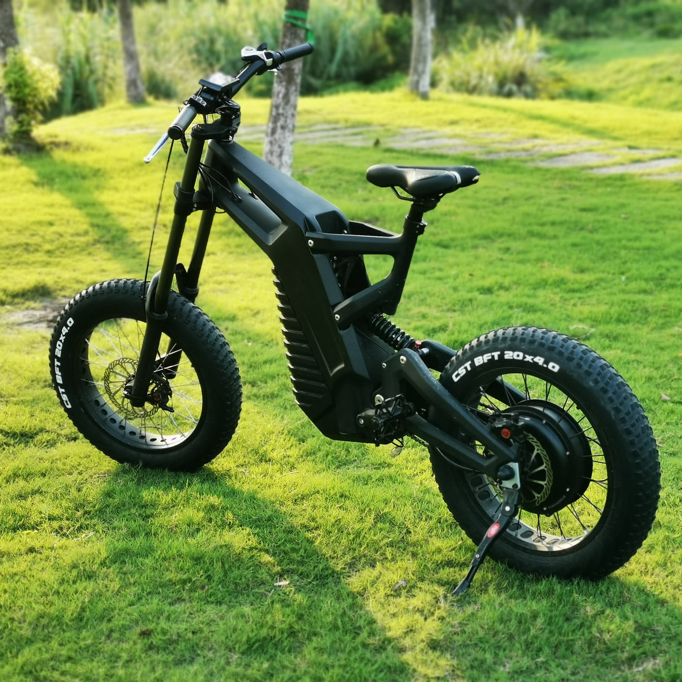 ACE by 4Leaf Carbon Fiber Ebike